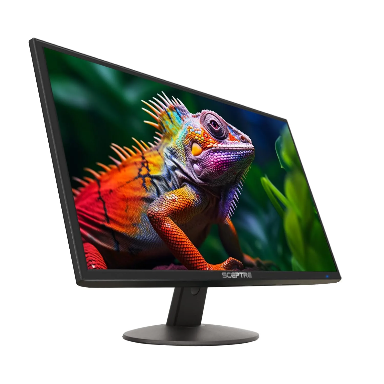 How to Choose the Right Computer Monitors for Your Needs